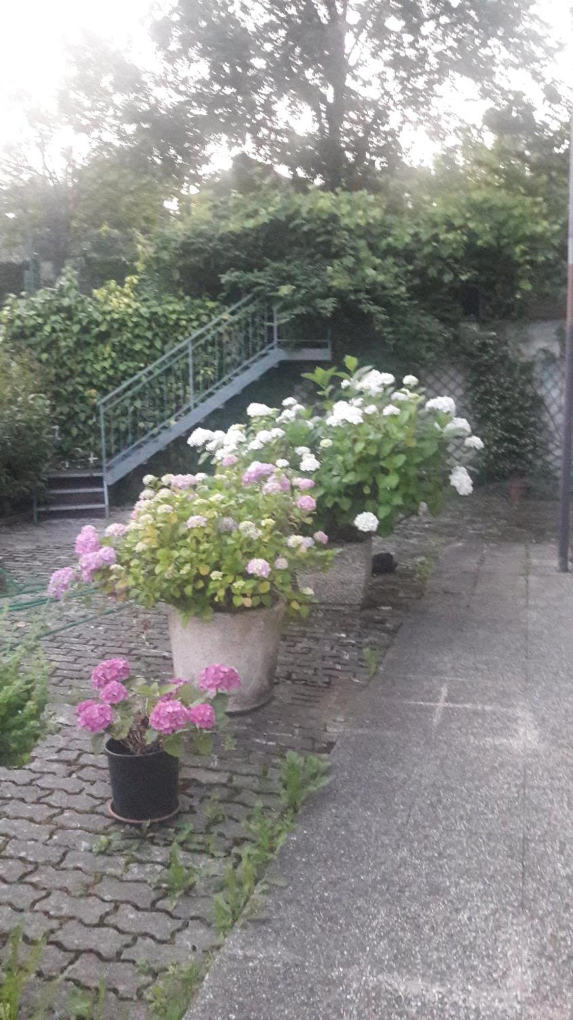 La Gazza Allegra * Querciola